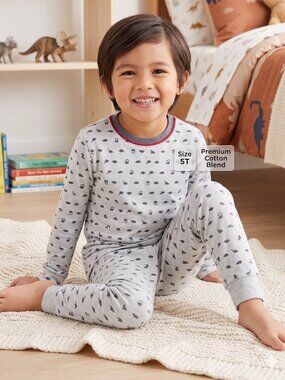 NWT Kids Minimalist Dinosaur Print Long Sleeve Pajama Set